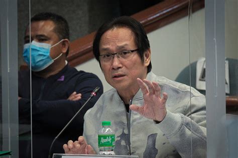 Senate panel wants PNP, NBI to keep probing Atong Ang over.